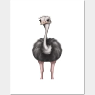 Cute Ostrich Drawing Posters and Art